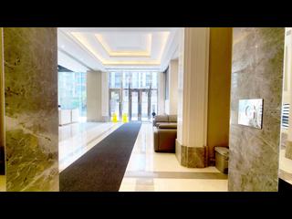 Kowloon Tong - The Ultimate 28
