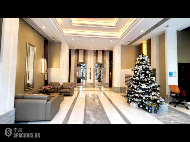 Kowloon Tong - The Ultimate 29
