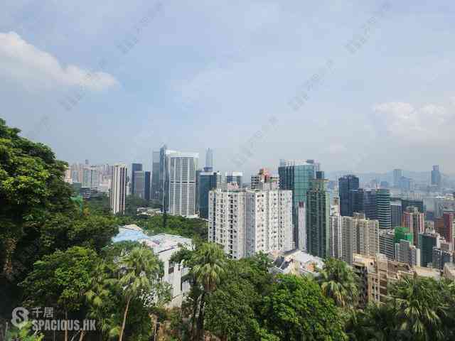 Mid Levels East - Caronia 12