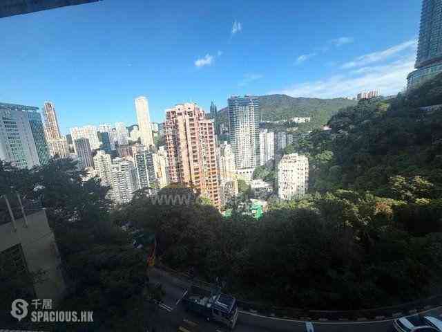 司徒拔道 - 纪园 01