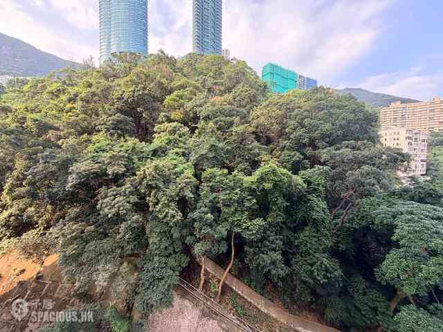 跑马地 - 山光苑2座 08