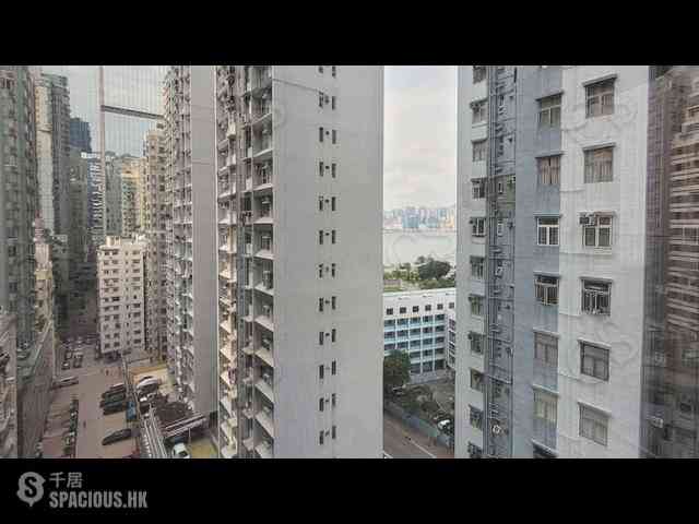 Quarry Bay - Finnie 07