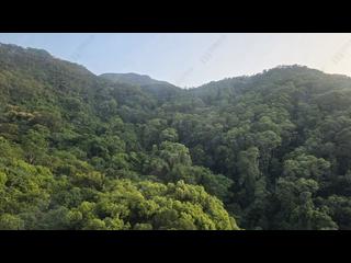 西半山 - 杏彤苑 03