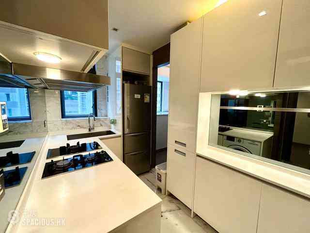 Mid Levels Central - Park Rise 02