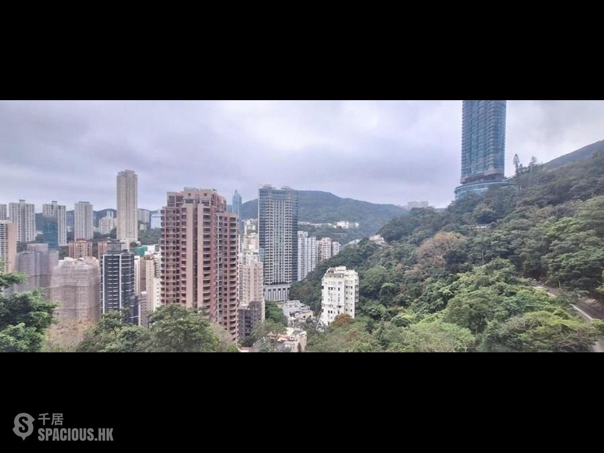 司徒拔道 - 紀園 01