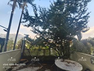 Ting Kok - Casa Marina 07