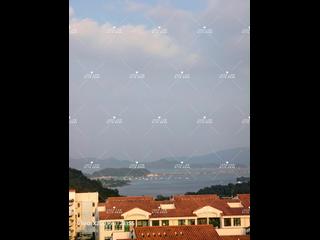Ting Kok - Casa Marina 34