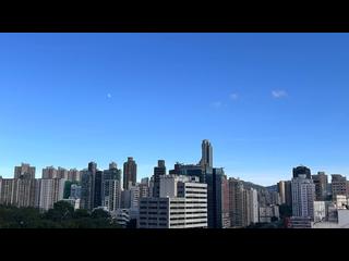 Mong Kok - Elize Park 07