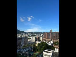 Mong Kok - Elize Park 08