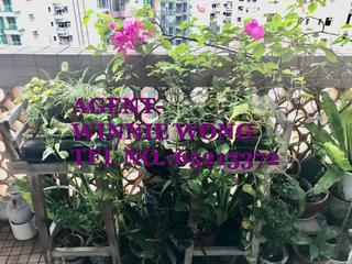 中半山 - 正大花园 08