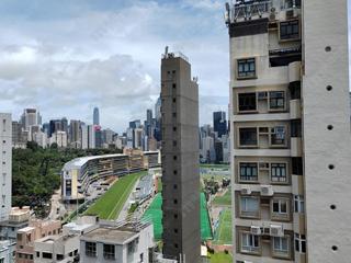 跑马地 - 景怡大厦 05