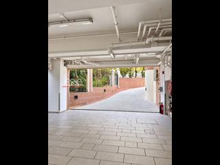 山頂 - 甘道21號 40