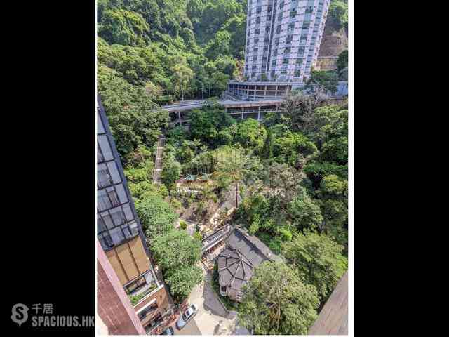 Tai Hang - The Jolly House 02