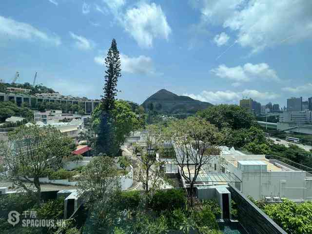 壽臣山 - 南天第 20