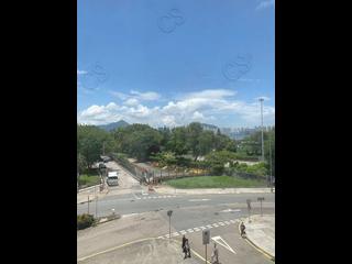 鲗鱼涌 - 滨海大厦 08