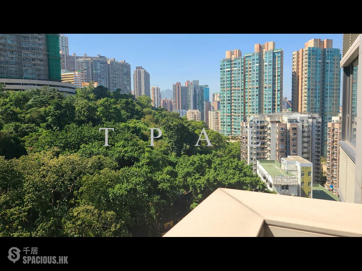 北角 - 柏蔚山 01