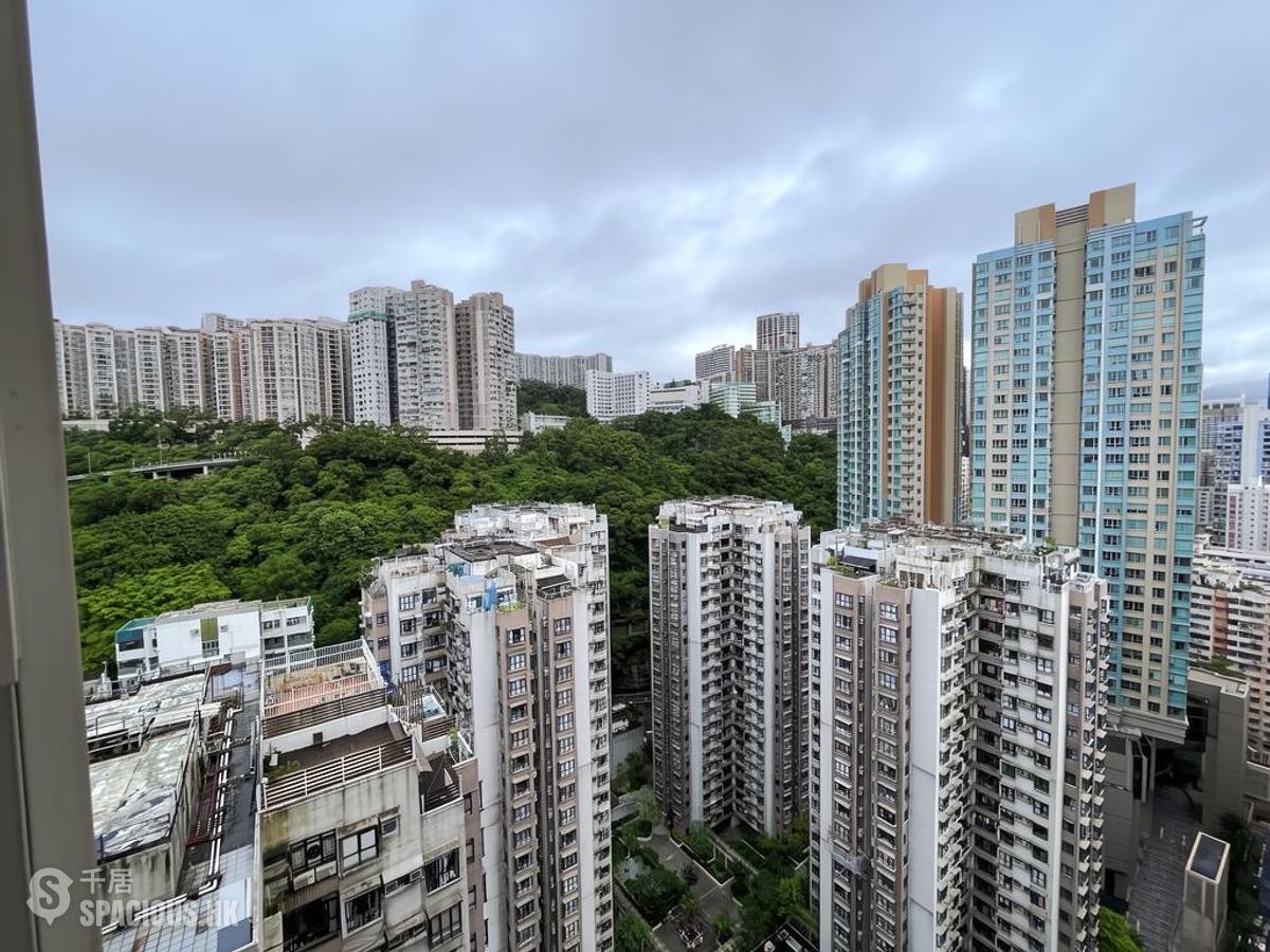 北角 - 港運城 01