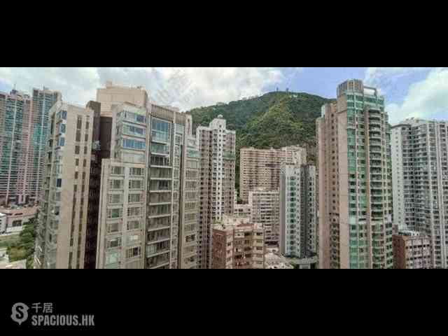 Mid Levels Central - The Grand Panorama 14