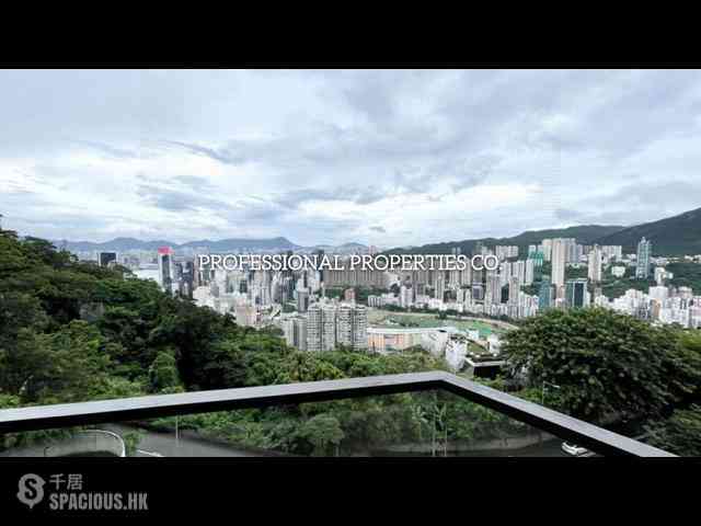 司徒拔道 - 司徒拔道47A号 03