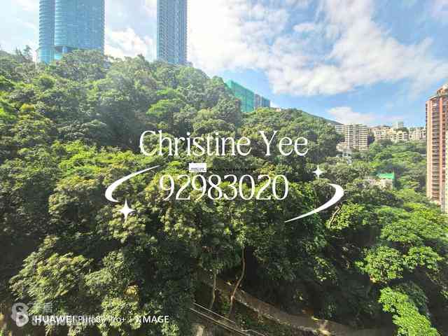 Happy Valley - Shan Kwong Towers 03