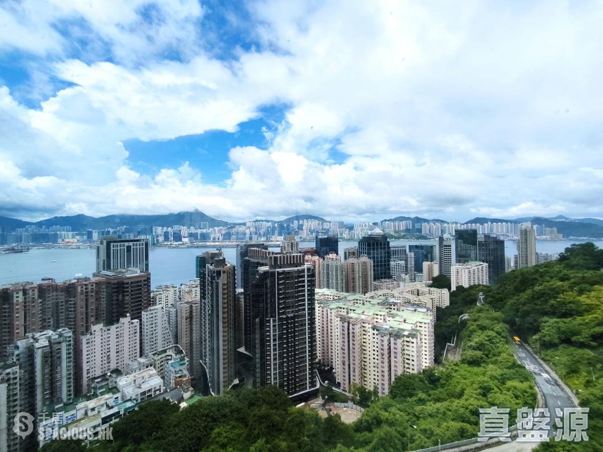 寶馬山 - 豪景 01