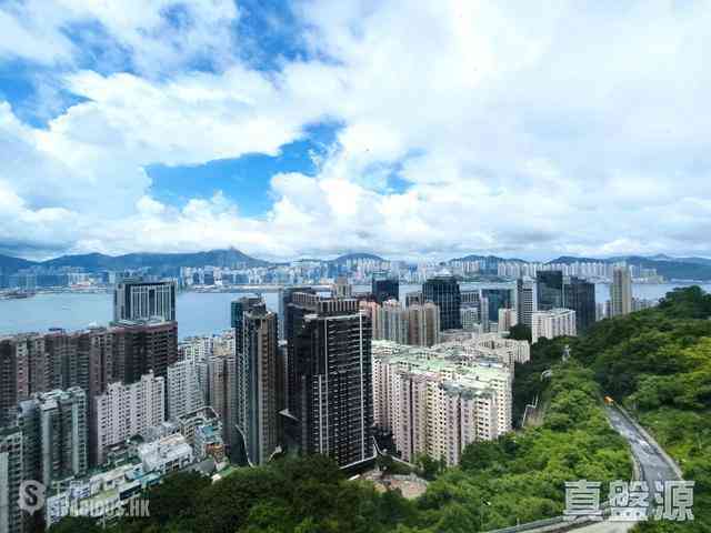 寶馬山 - 豪景 01