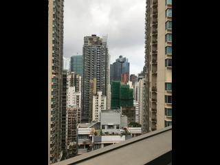 湾仔 - 禧汇1期5座 08
