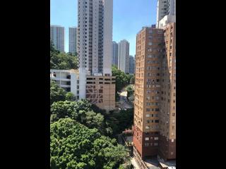 大坑 - 嘉景臺 03