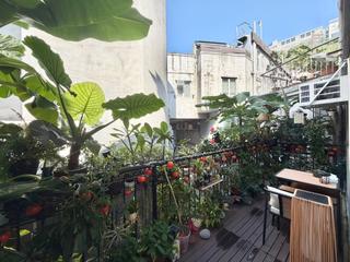 跑马地 - 金碧别墅 03