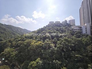 Tai Hang - The Legend 03