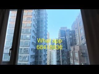 Sai Ying Pun - The Nova 11