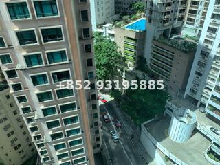 Mid Levels Central - Palatial Crest 08
