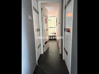 Kennedy Town - The Merton 06