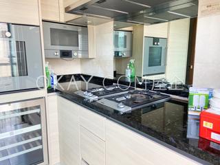 Wan Chai - The Avenue Phase 2 Block 1 09