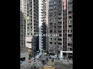 中半山 - 豪景阁 10