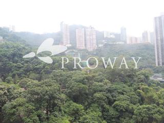 Wan Chai - Star Crest 02