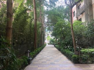 Causeway Bay - Fontana Gardens 09