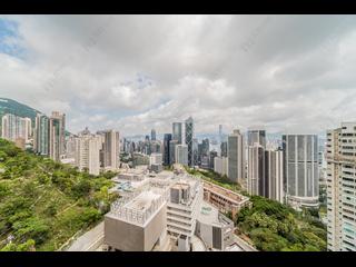 中半山 - 21 Borrett Road 6號及7號 03