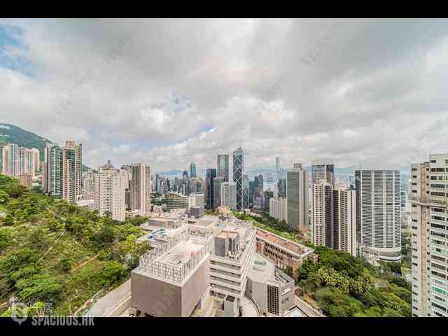 中半山 - 21 Borrett Road 6號及7號 03