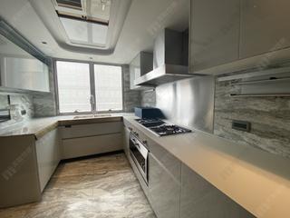 Mid Levels Central - 21 Borrett Road Phase 1 10