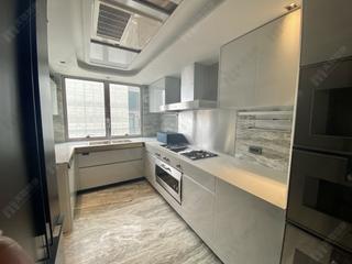 Mid Levels Central - 21 Borrett Road Phase 1 32