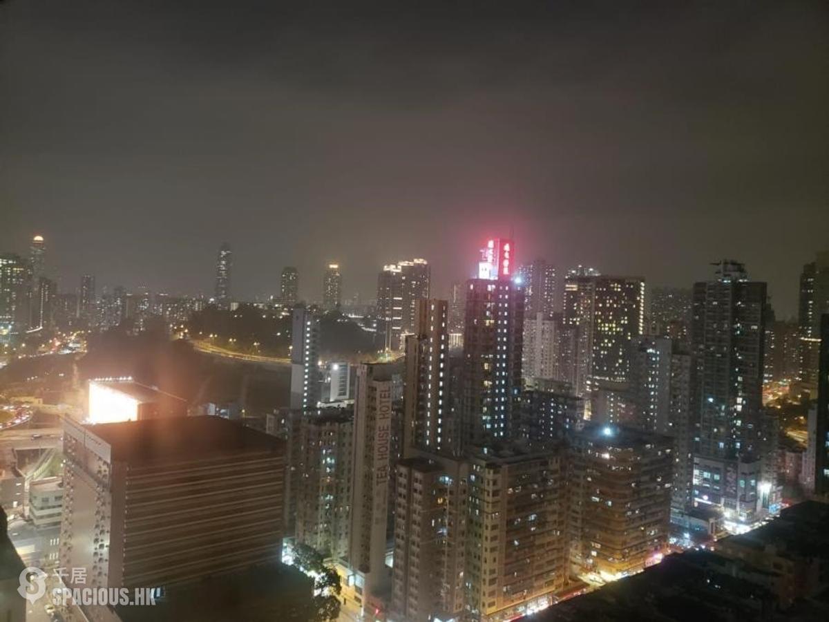 紅磡 - 半岛豪庭 01