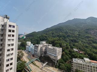 Shau Kei Wan - Lime Gala 06