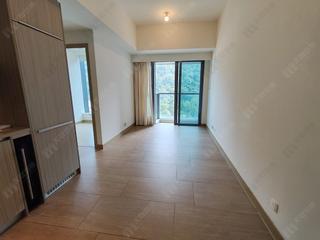 Shau Kei Wan - Lime Gala 02