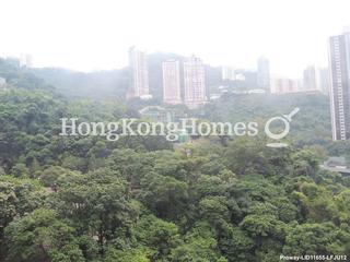 Wan Chai - Star Crest 02