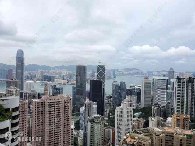 中半山 - 世紀大廈 01