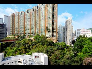 跑马地 - Tagus Residences 17