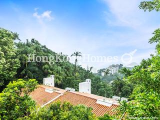The Peak - Strawberry Hill 02
