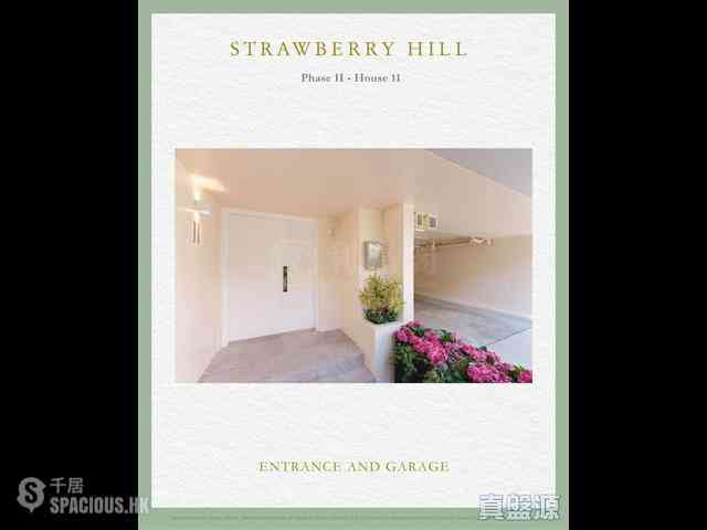 The Peak - Strawberry Hill 01