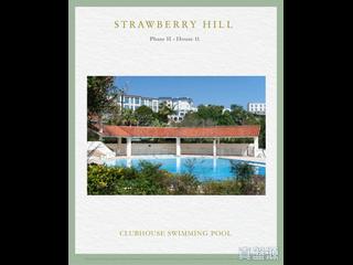 The Peak - Strawberry Hill 02